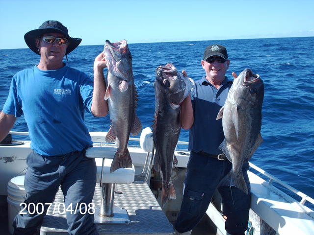 hapuka and blue eye trevalla